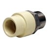 Apollo By Tmg 1/2 in. x 1/2 in. CPVC CTS Slip Stainless Steel MPT Adapter CPVCMA12